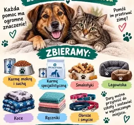 Sosnowiec: Szkoła organizuje zbiórkę dla bezdomnych zwierząt