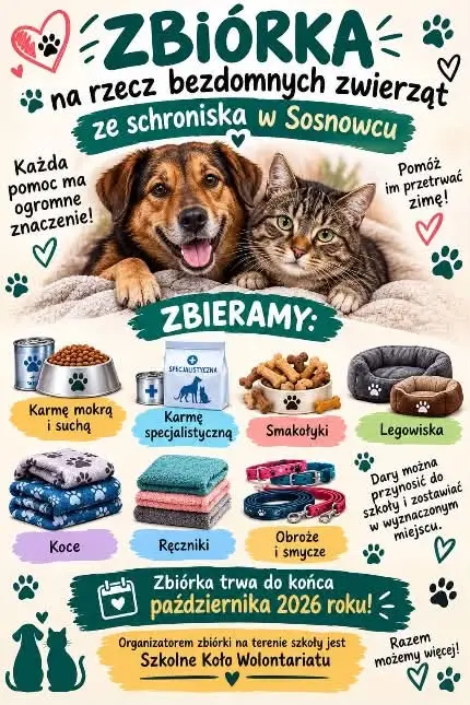 Sosnowiec: Szkoła organizuje zbiórkę dla bezdomnych zwierząt